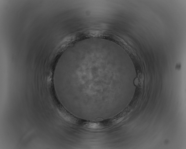 X0000094790507200711241405