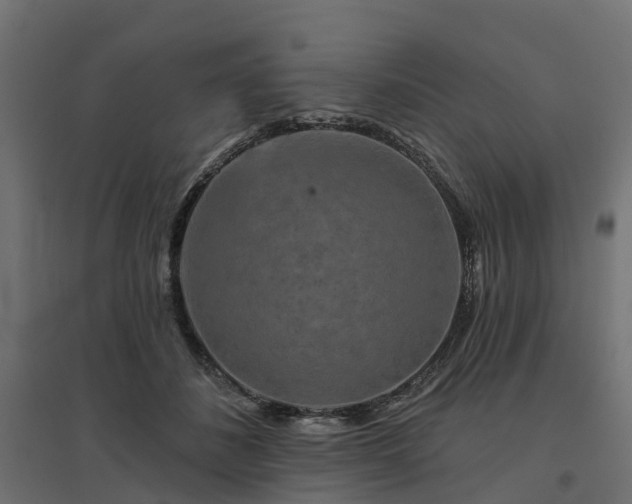 X0000094790508200711241405