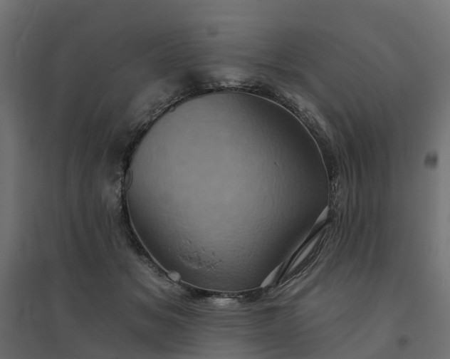 X0000094790509200711241405