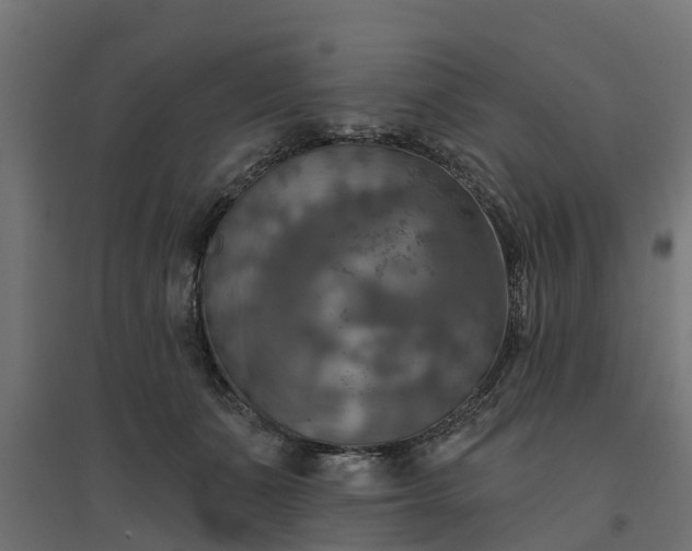 X0000094790511200711241404