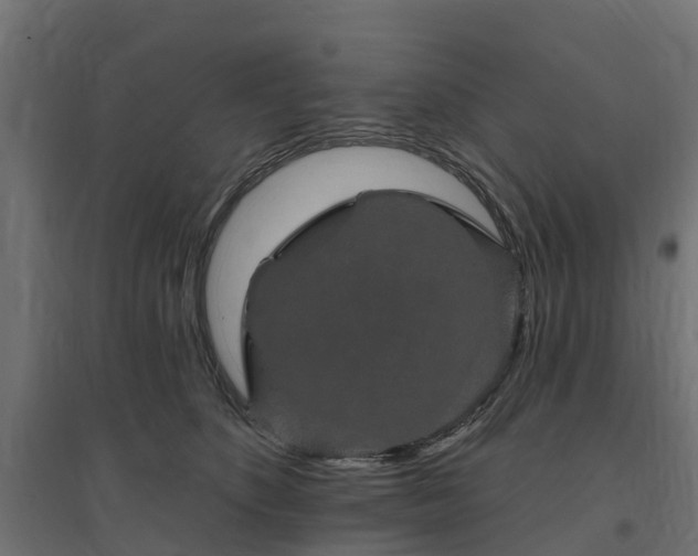 X0000094790516200711241404