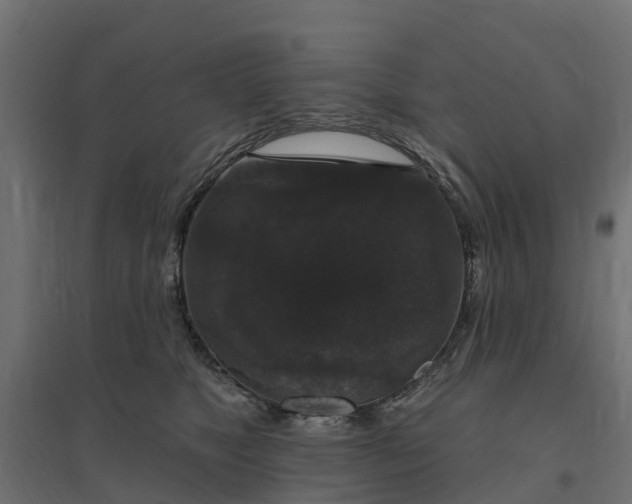 X0000094790517200711241404