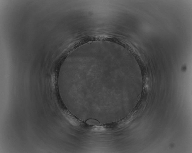 X0000094790519200711241404