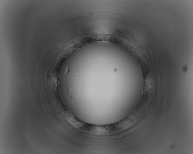 X0000094790522200711241404