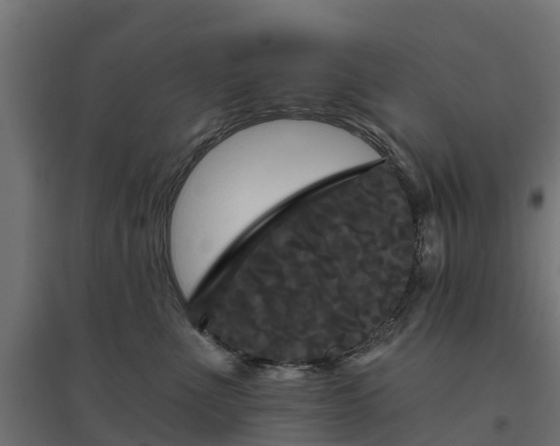 X0000094790523200711241404