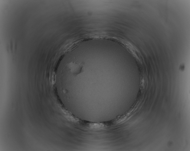 X0000094790525200711241404