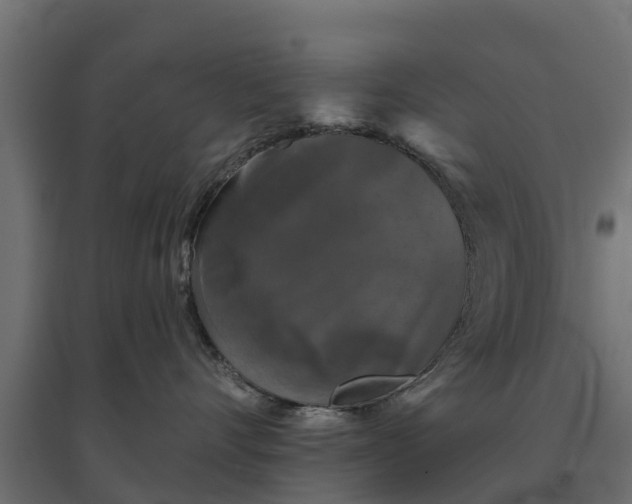 X0000094790528200711241404