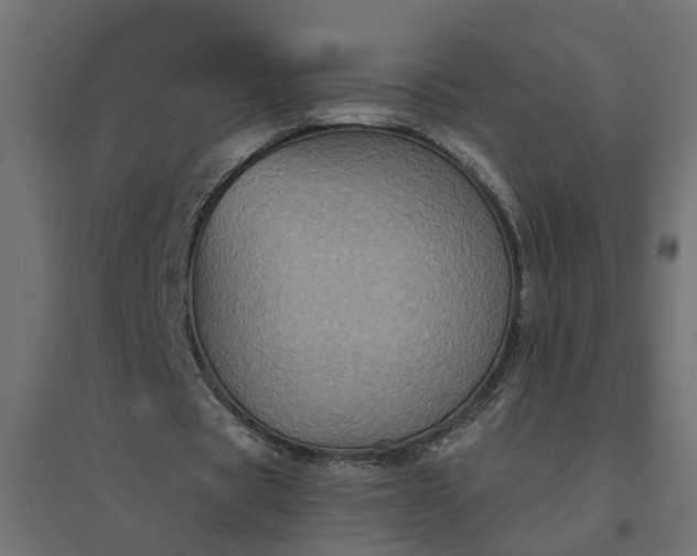 X0000094790529200711241403