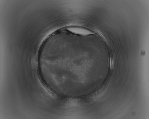 X0000094790531200711241403