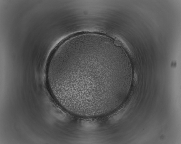 X0000094790532200711241404