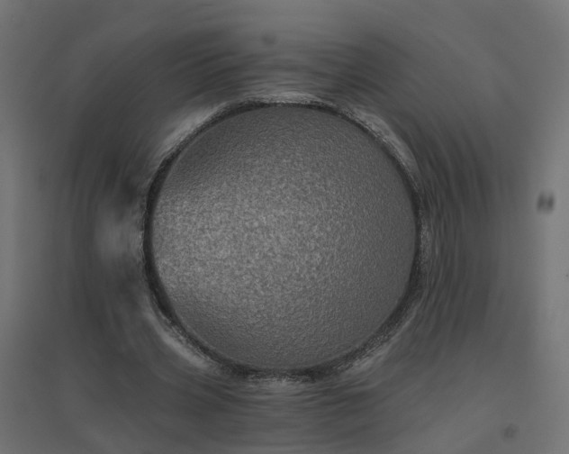 X0000094790533200711241404