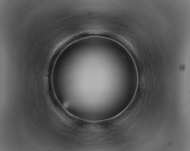 X0000094790535200711241404