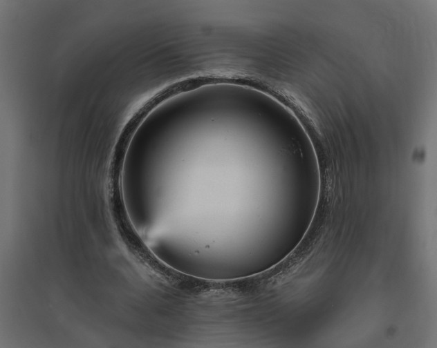 X0000094790536200711241404