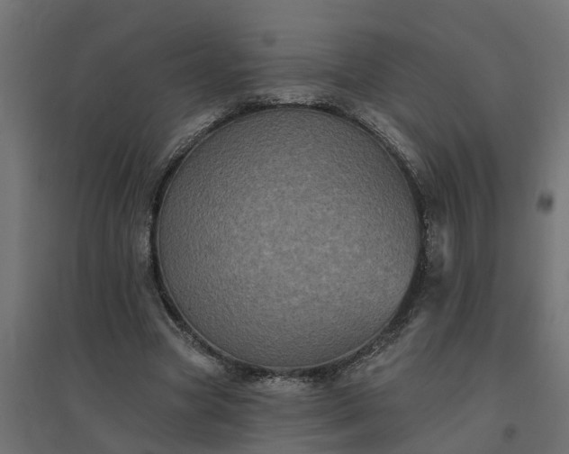 X0000094790537200711241404