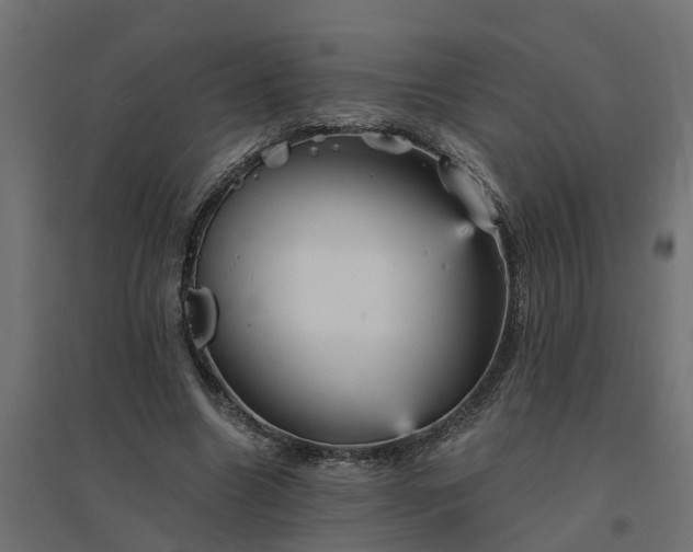 X0000094790538200711241404