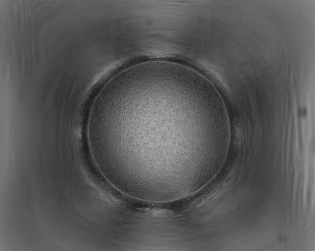 X0000094790539200711241404