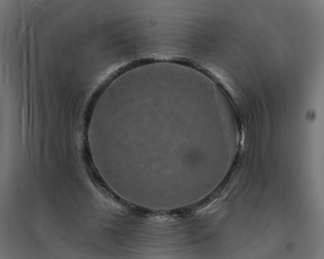 X0000094790540200711241404