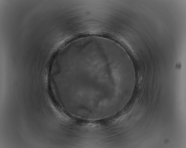 X0000094790542200711241404