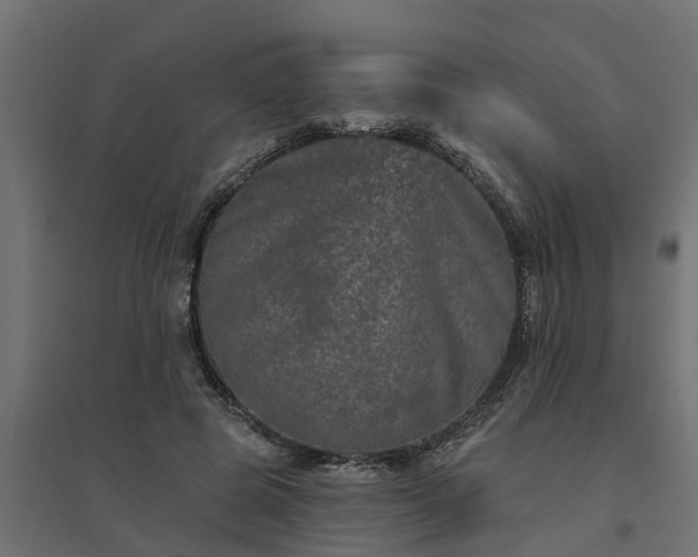 X0000094790545200711241404