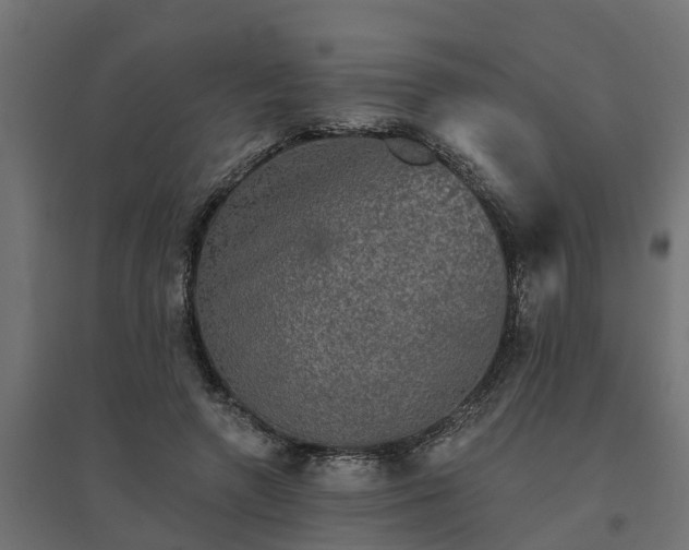 X0000094790546200711241404