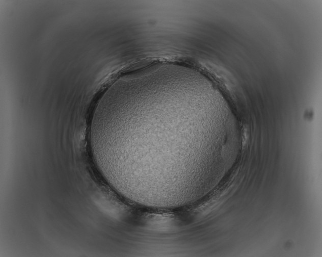 X0000094790548200711241404