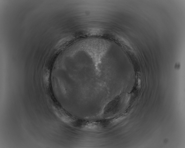 X0000094790550200711241404