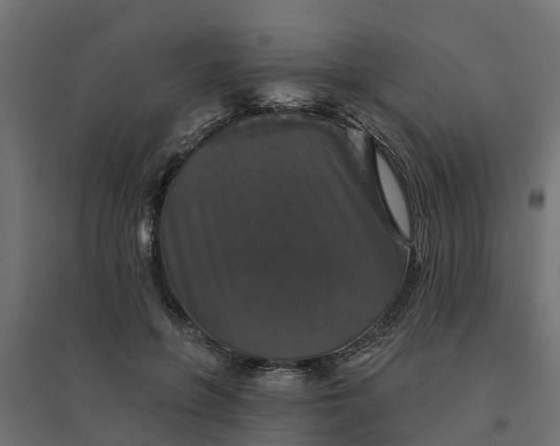 X0000094790551200711241404