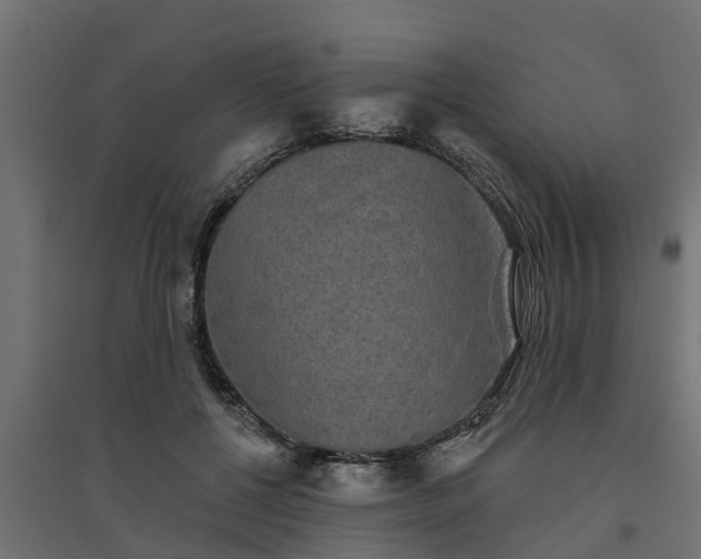 X0000094790552200711241404