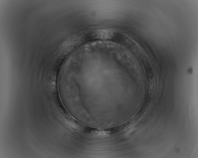 X0000094790553200711241404