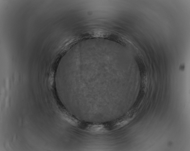 X0000094790554200711241404