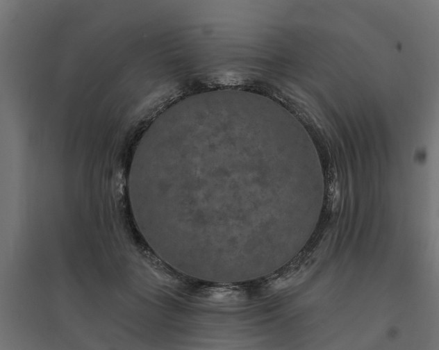 X0000094790555200711241404