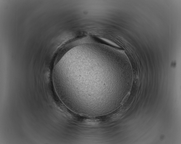 X0000094790556200711241404