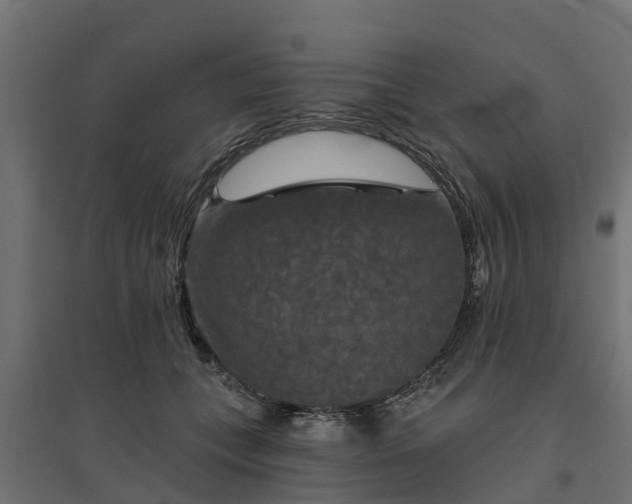 X0000094790559200711241404