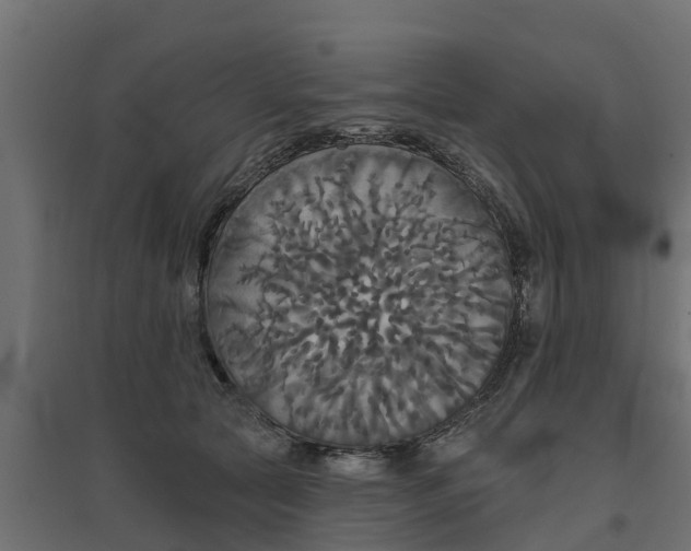 X0000094790561200711241404