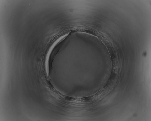 X0000094790563200711241404