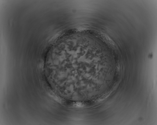 X0000094790565200711241404