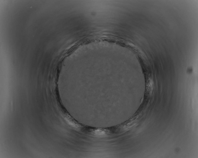 X0000094790566200711241404