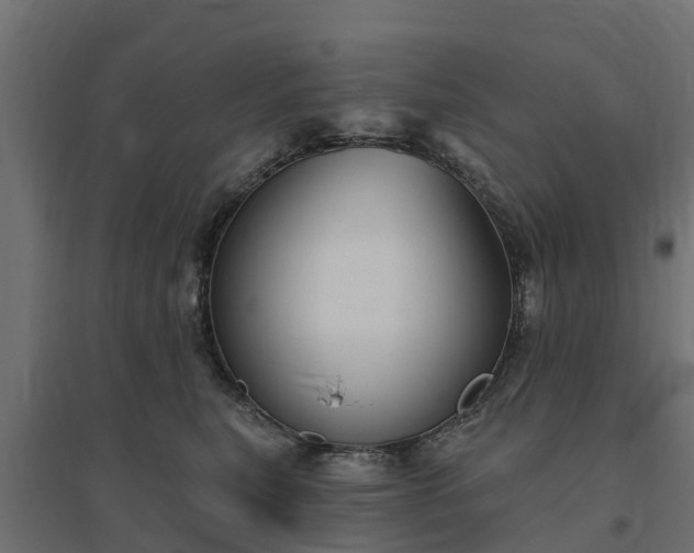 X0000094790567200711241404