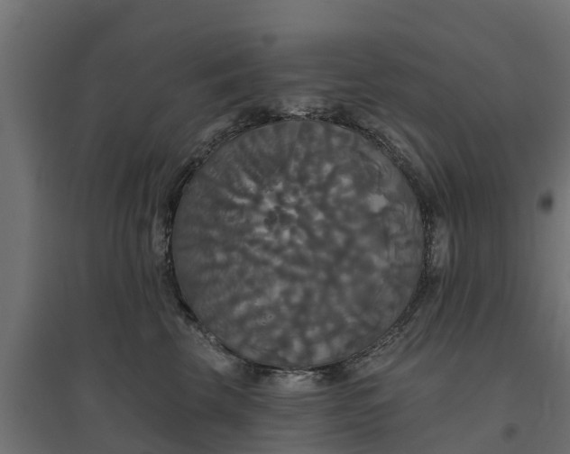 X0000094790569200711241404