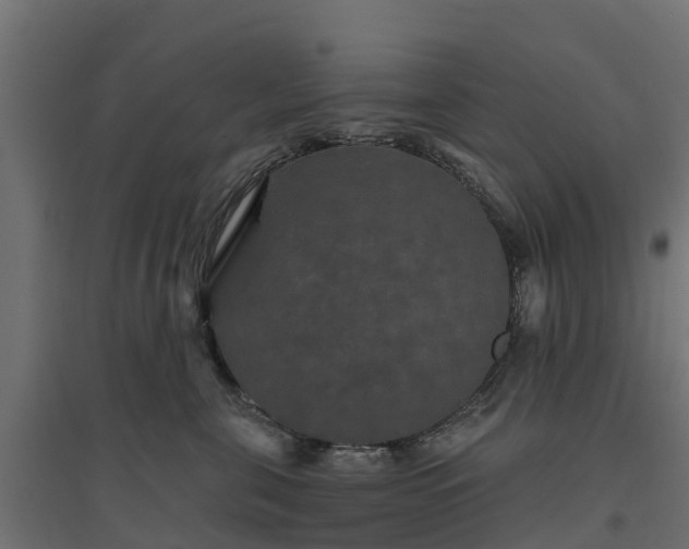 X0000094790571200711241404