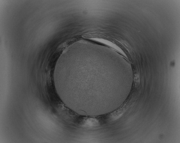 X0000094790572200711241404