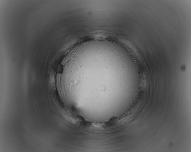 X0000094790573200711241404