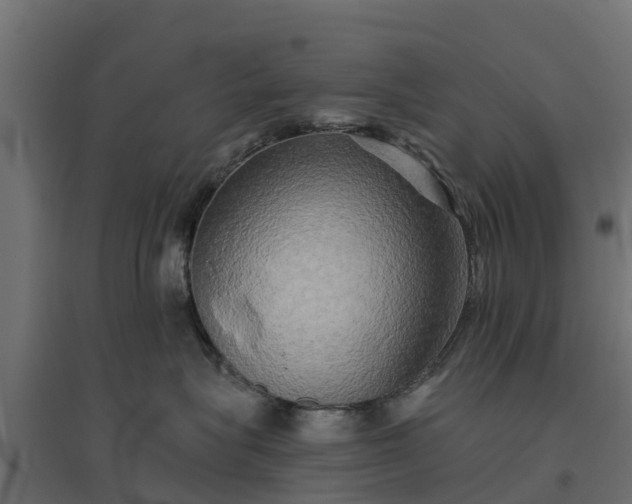 X0000094790575200711241404