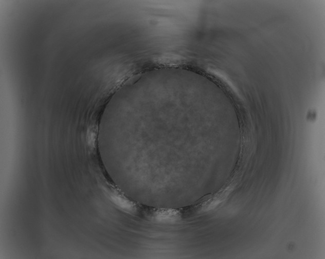 X0000094790576200711241404