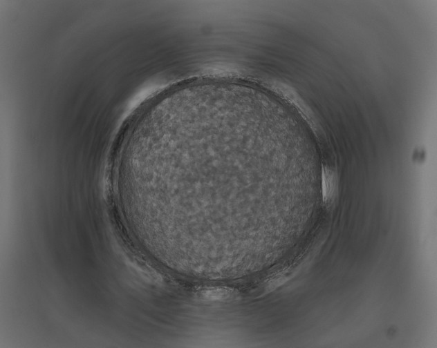 X0000094790579200711241403