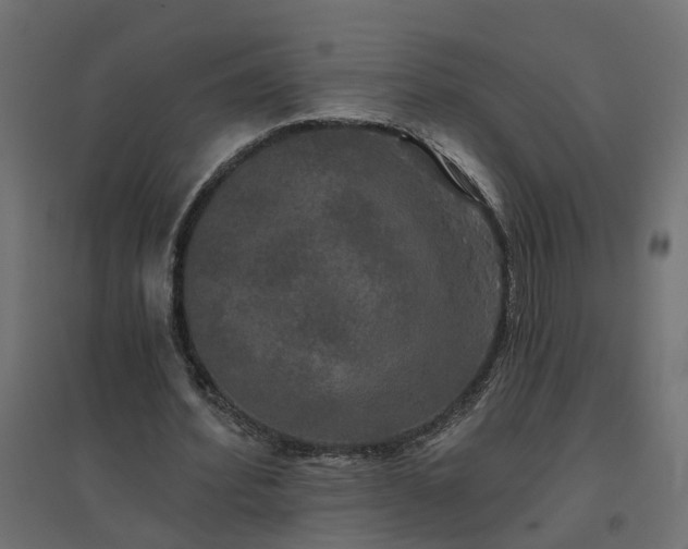 X0000094790580200711241403