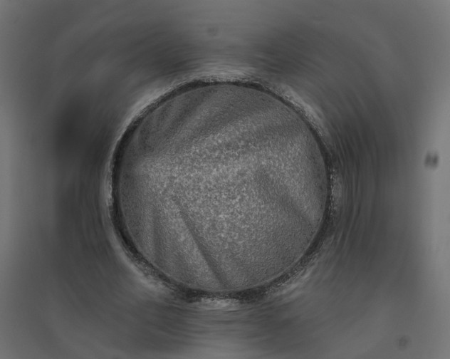 X0000094790582200711241403