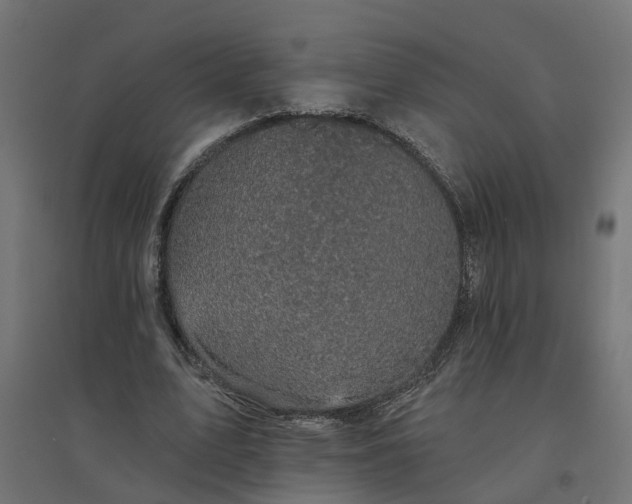 X0000094790583200711241403