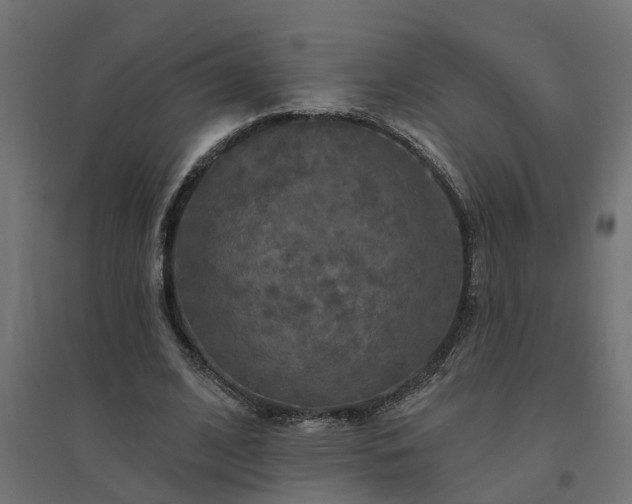 X0000094790584200711241403