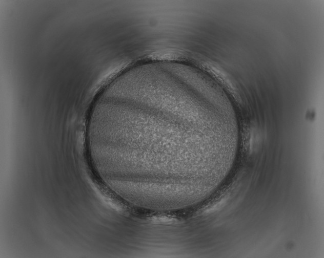 X0000094790586200711241403